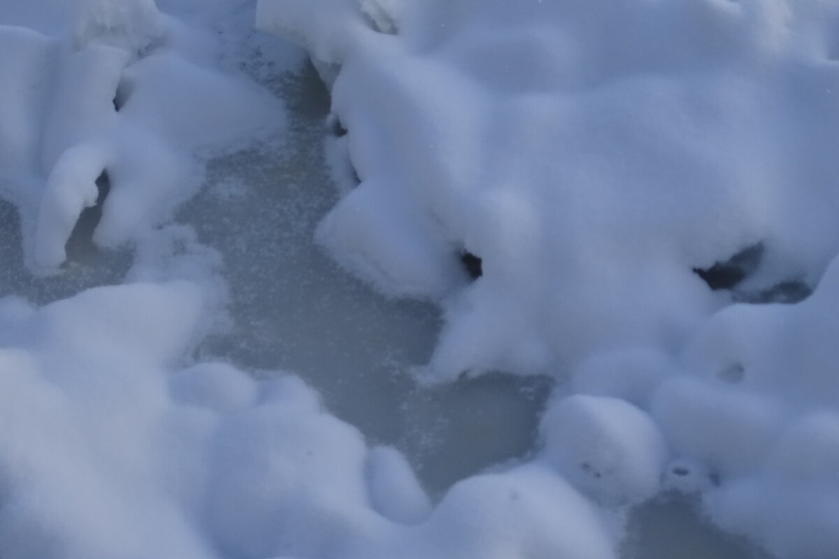 Все во льду! - Anna-Sabina Anna-Sabina Все во льду! - Anna-Sabina Anna-Sabina