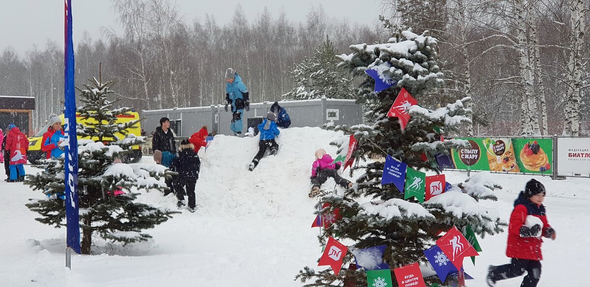Зимние забывы - Galina Solovova Зимние забывы - Galina Solovova