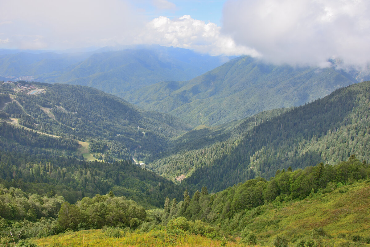 ** - Александр Хаецкий