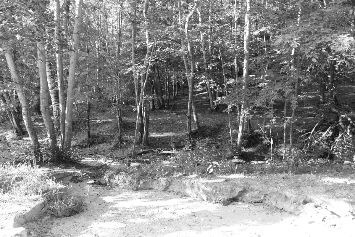 Фотография - Денис Безногов