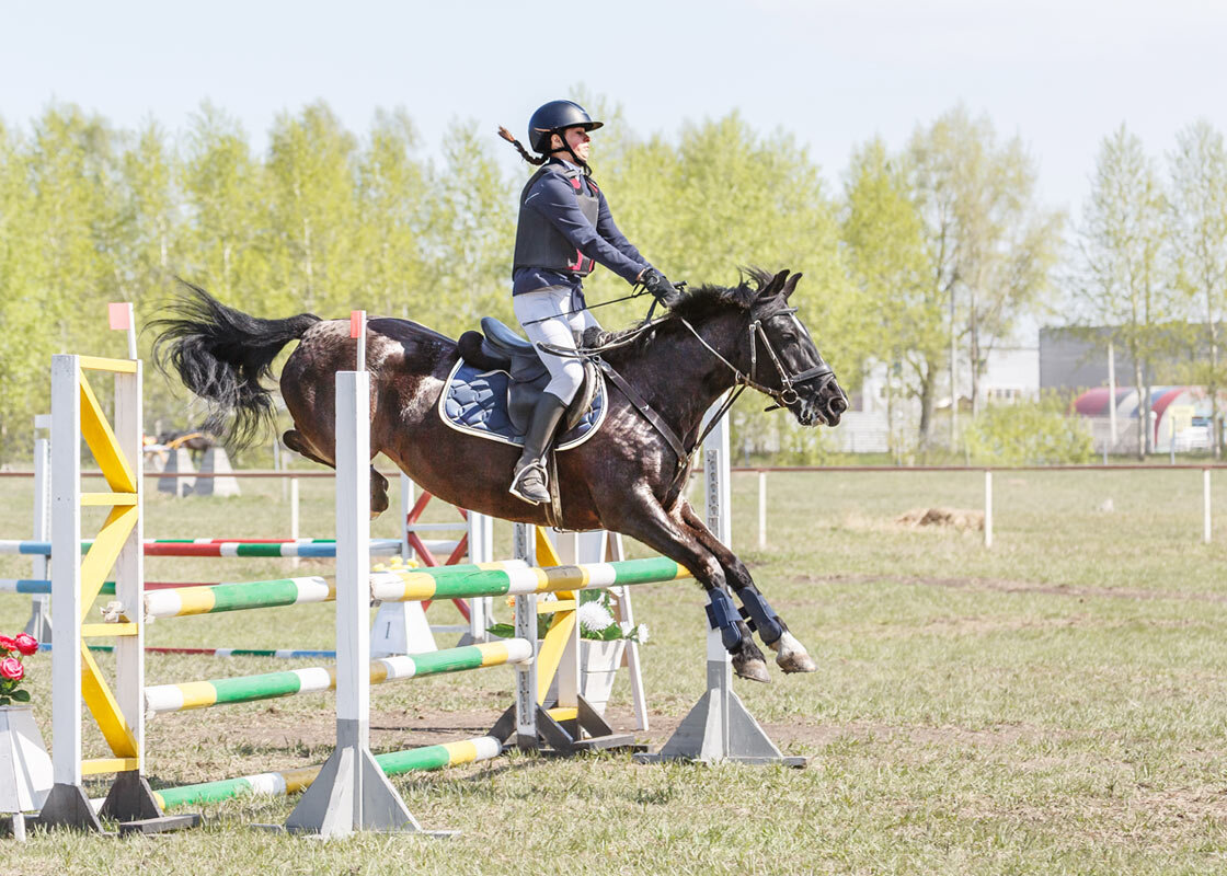 Конкур - SanSan 