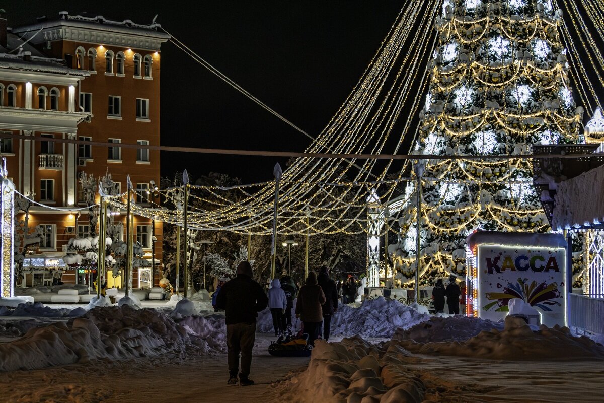 В Новогоднюю ночь - Игорь Сикорский