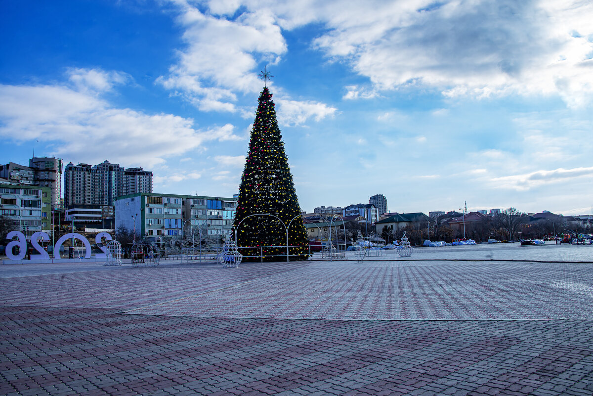 Ёлка - Анатолий Чикчирный