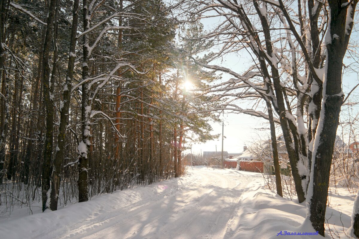О прогулках на Рождество - Андрей Заломленков О прогулках на Рождество - Андрей Заломленков