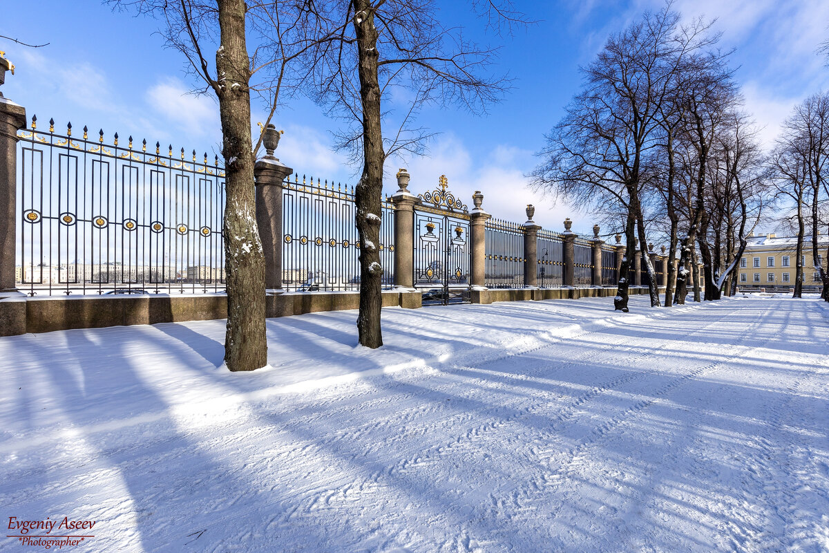 Зимний Летний сад - Евгений 