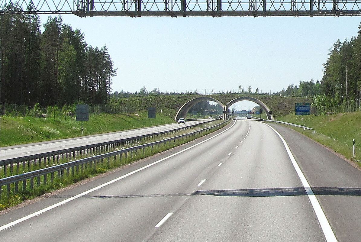 Тоннель вблизи поселка Пюхтяа - Александр Ильчевский 