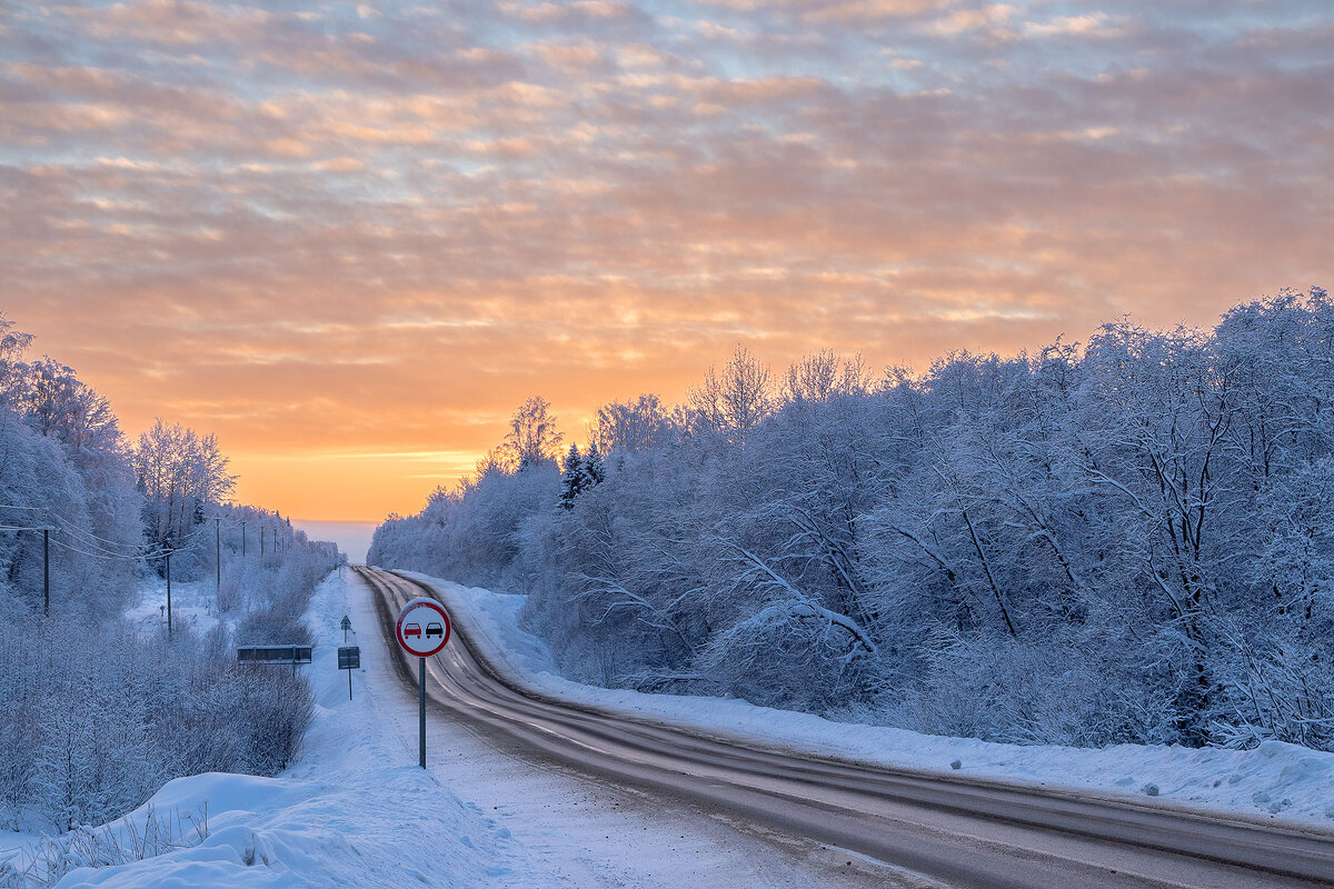 Дорога. - Андрей Дурапов Дорога. - Андрей Дурапов