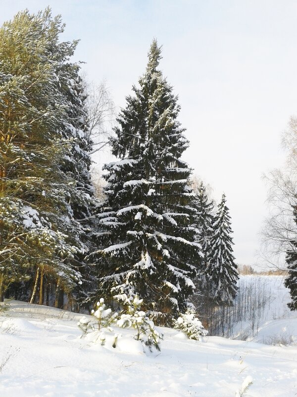 пейзаж - Владимир 