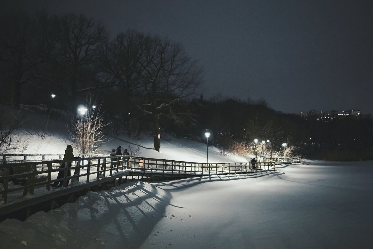 Рождественская прогулка - Сергей В