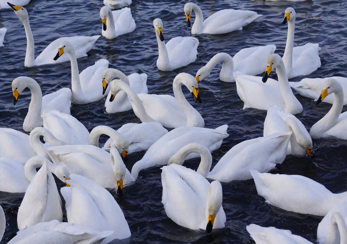 Зимнее столпотворение - Наталия Григорьева