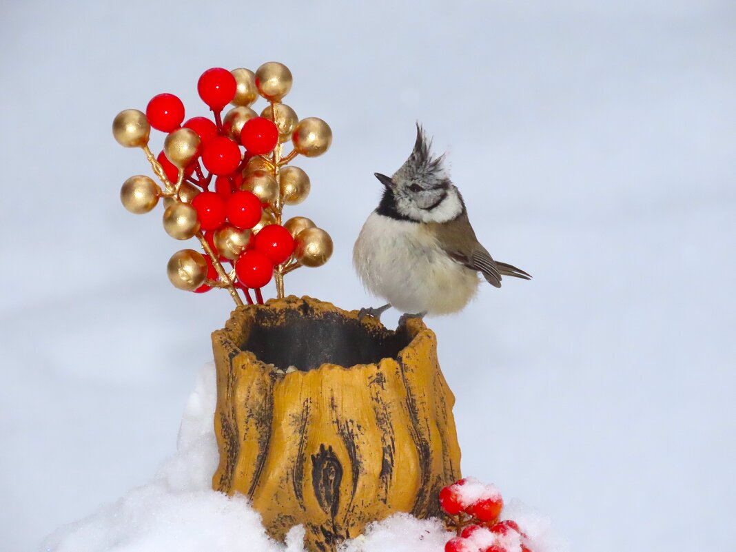 Нарядненько...С Рождеством,малыш! - Ольга Митрофанова