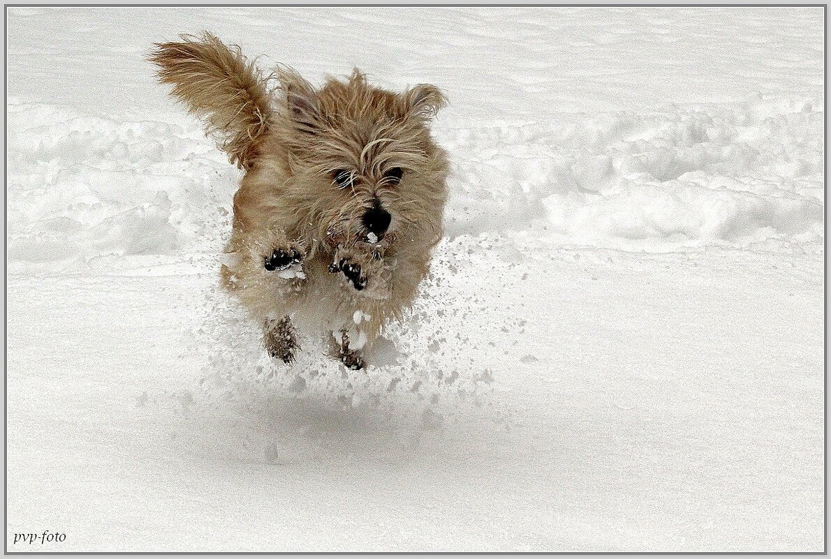 Три секунды, полёт нормальный. - Владимир Попов