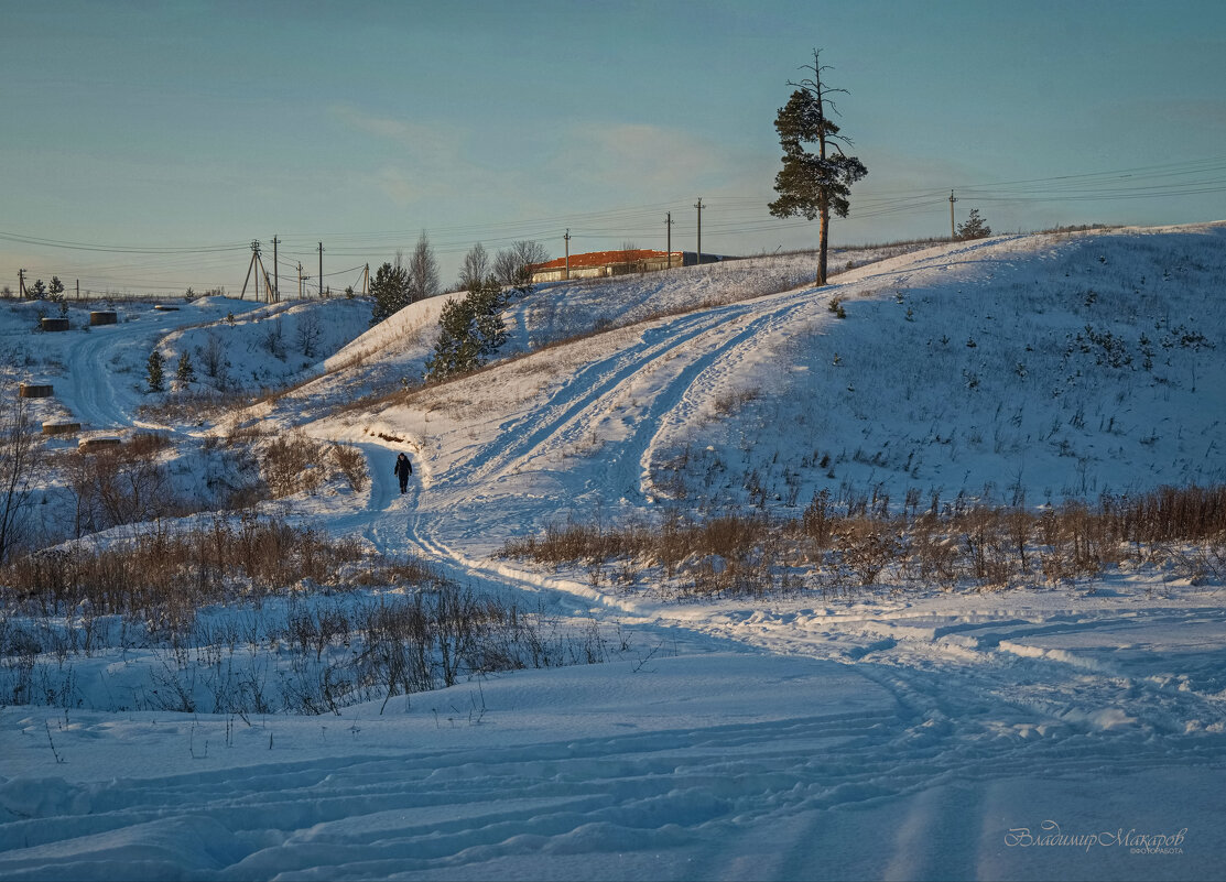 "Новый день нового года. Сосна"© - Владимир Макаров