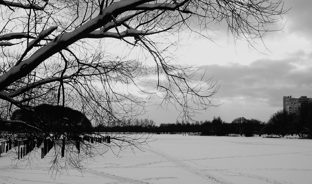 Зимний пруд. - Василий Палий