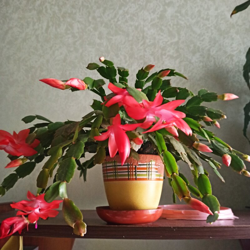 *** - Татьяна Осипова(Deni2048)