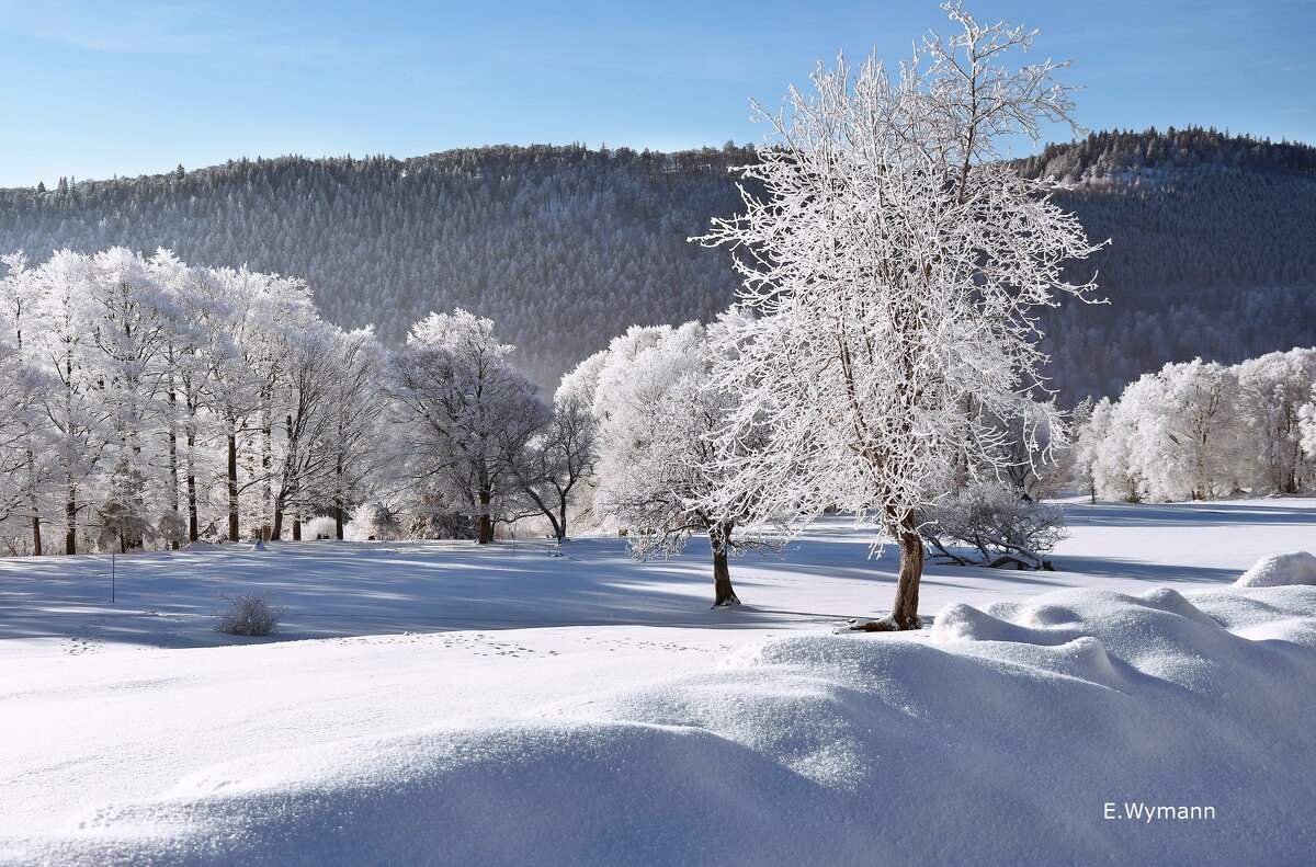 winter Märchen - Elena Wymann