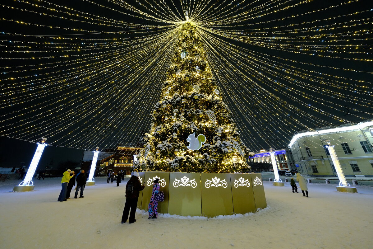 Наша елка - Андрей Зайцев Наша елка - Андрей Зайцев