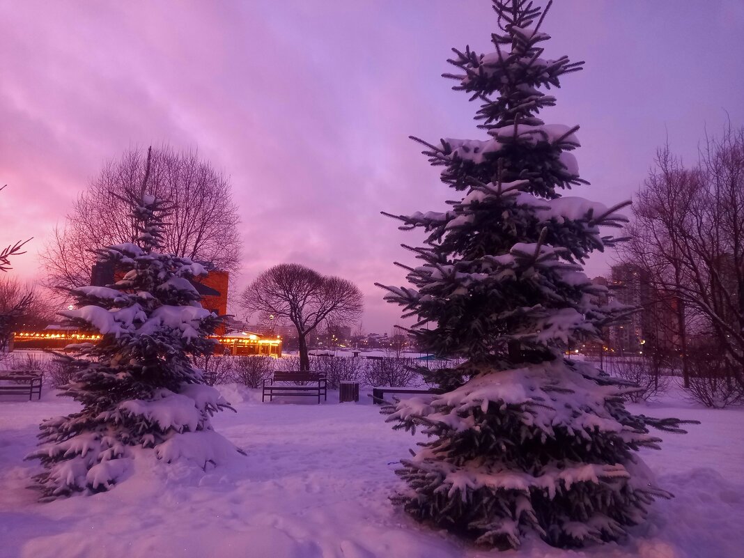 Закат - Сапсан 