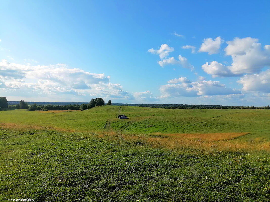 Кавголово поля. - Игорь Корф