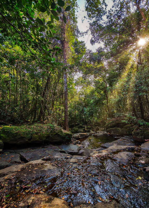 Солнечный луч - Dmitry i Mary S