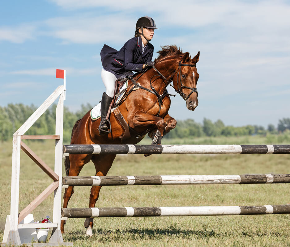 Конкур - SanSan 