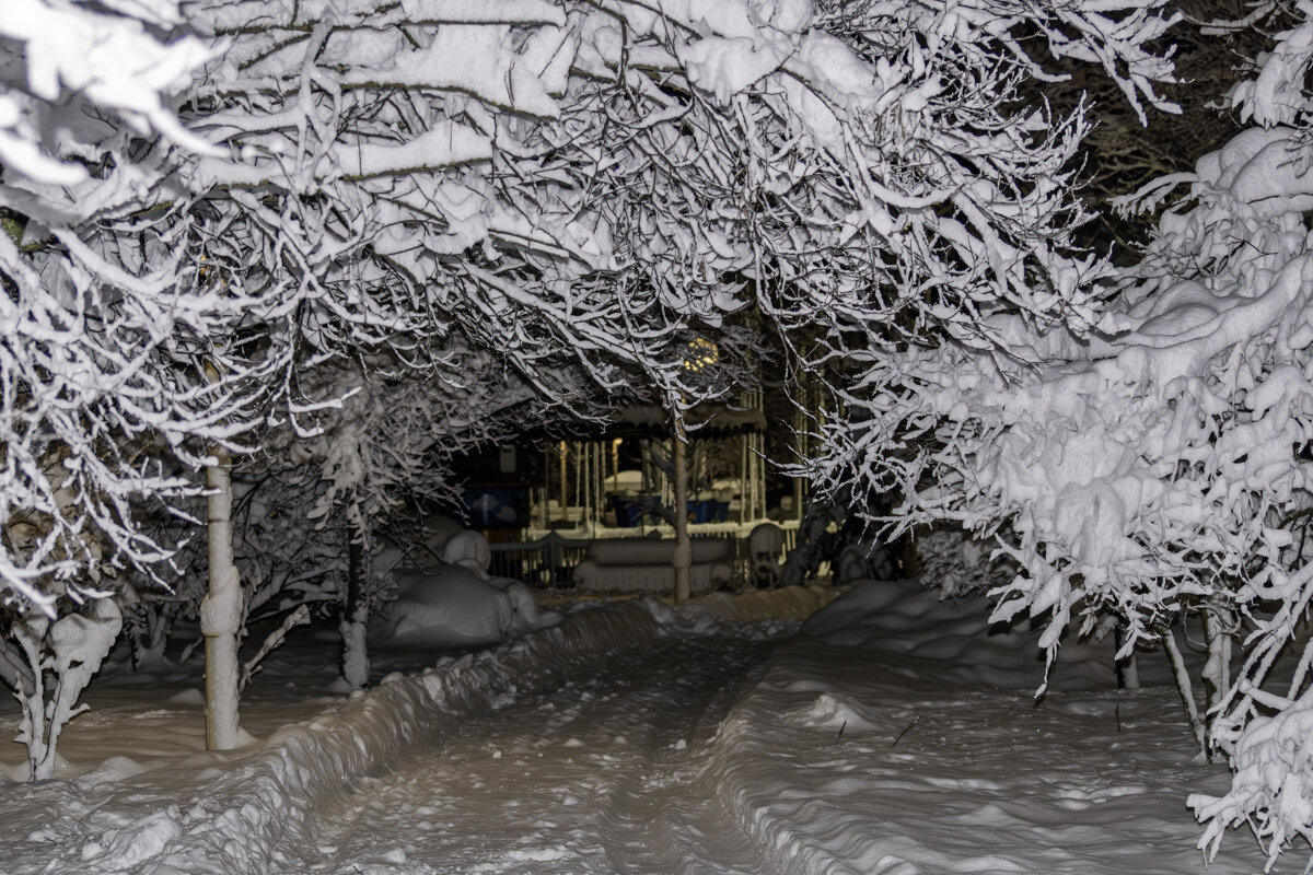 Прогулка по вечернему городу - Игорь Сикорский