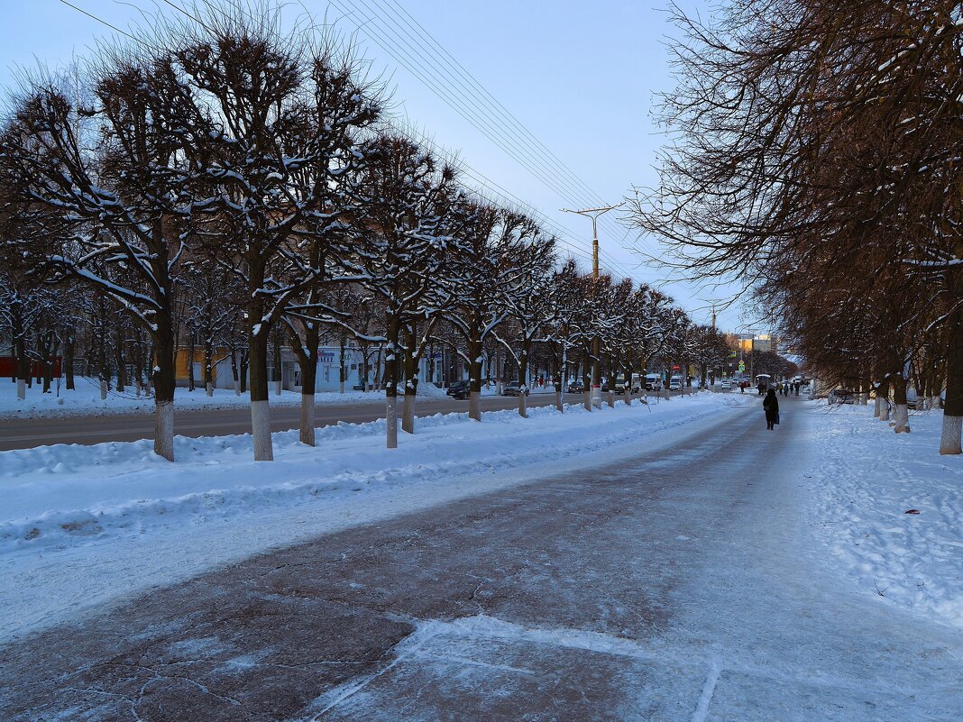 Чебоксары. Липовая аллея на проспекте Ленина зимой. - Пётр Чернега Чебоксары. Липовая аллея на проспекте Ленина зимой. - Пётр Чернега