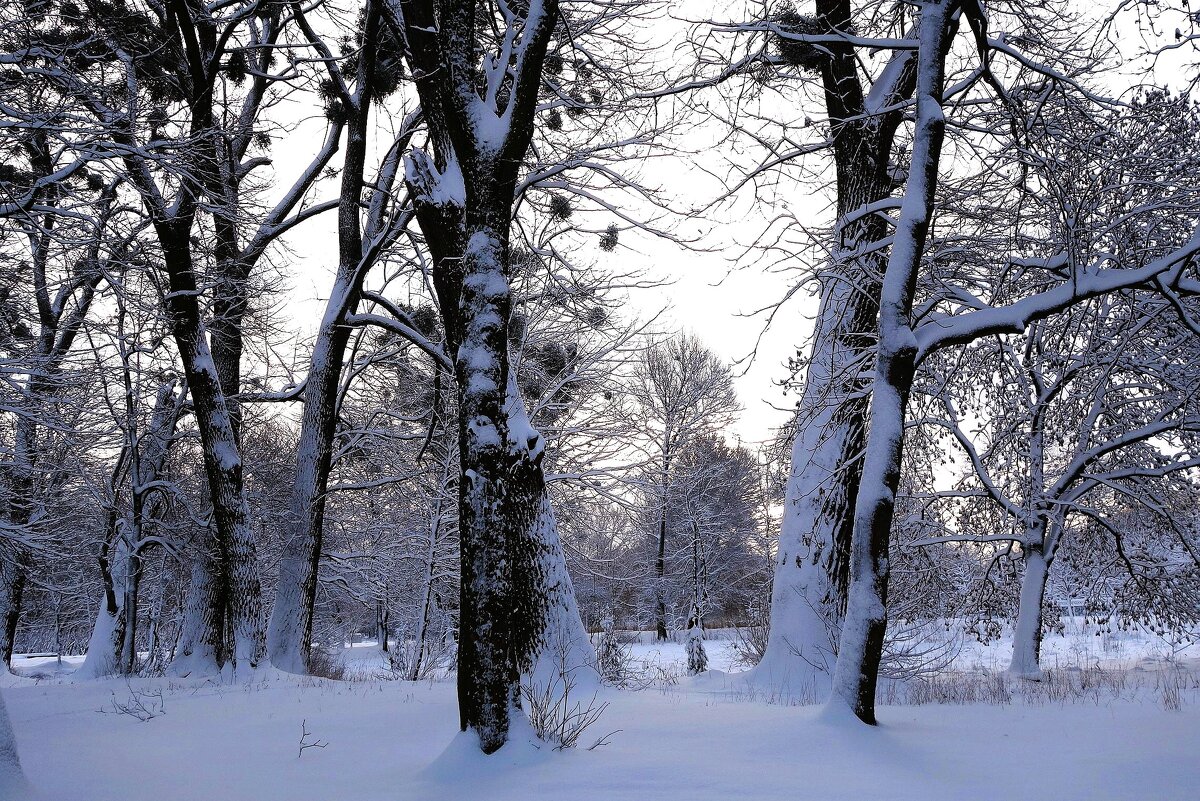 Парк Южный, Калининград - Рита Симонова