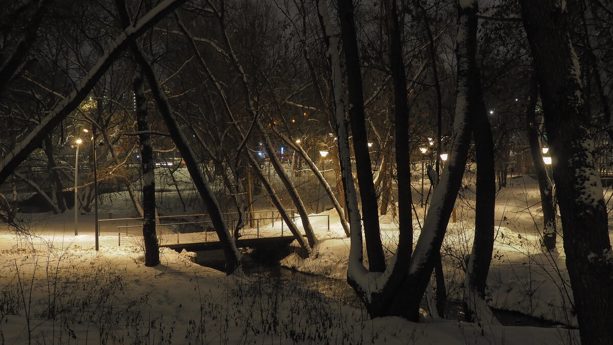 Зимний Вечер в Парке - юрий поляков