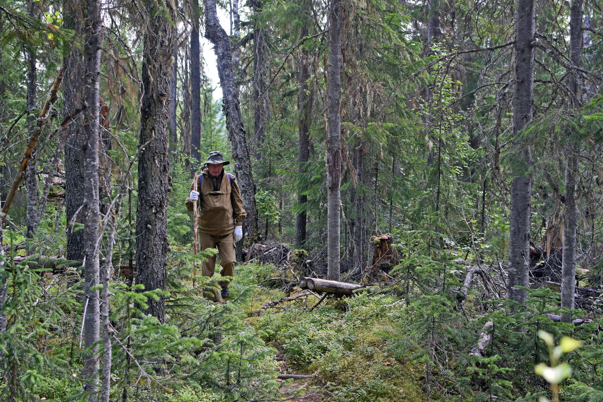 По тропе. - ВикТор Быстров