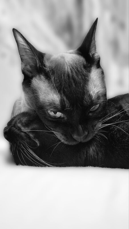 Кусь - Татьяна 