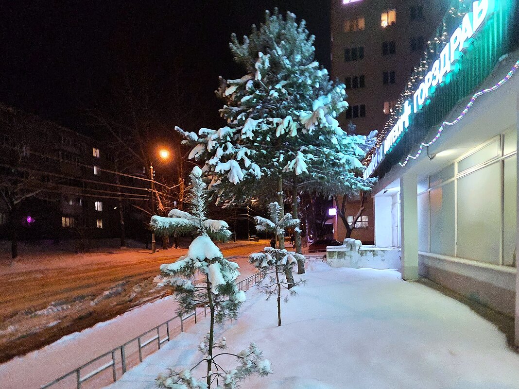 В снежное Рождество... - Olga Oskolkova