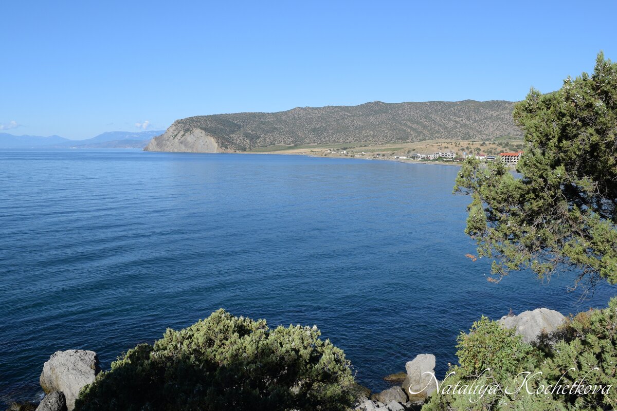 Природа Крыма - Amazing Cosmea