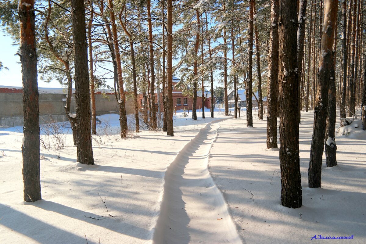 О прогулках на Рождество... - Андрей Заломленков О прогулках на Рождество... - Андрей Заломленков