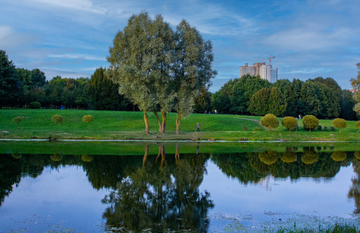 отражение - Lucy Schneider 