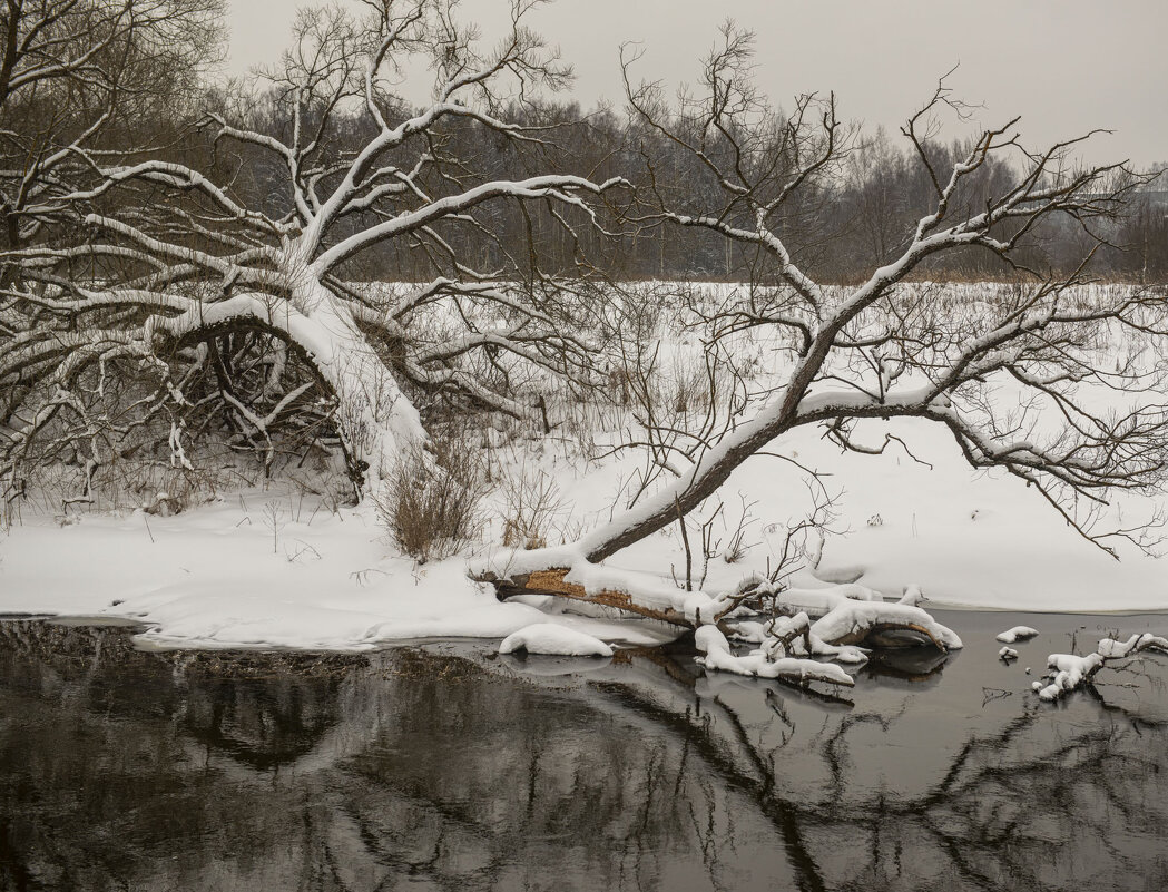 На берегу реки Истра. - Николай Галкин 