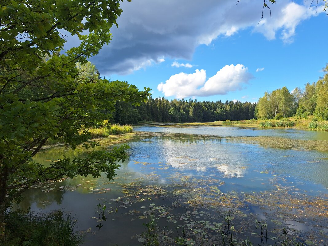 Пейзаж - Наталья 