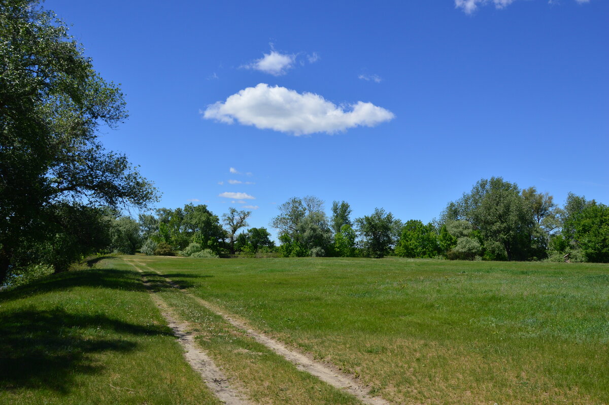 Мои дороги. - Виктор 