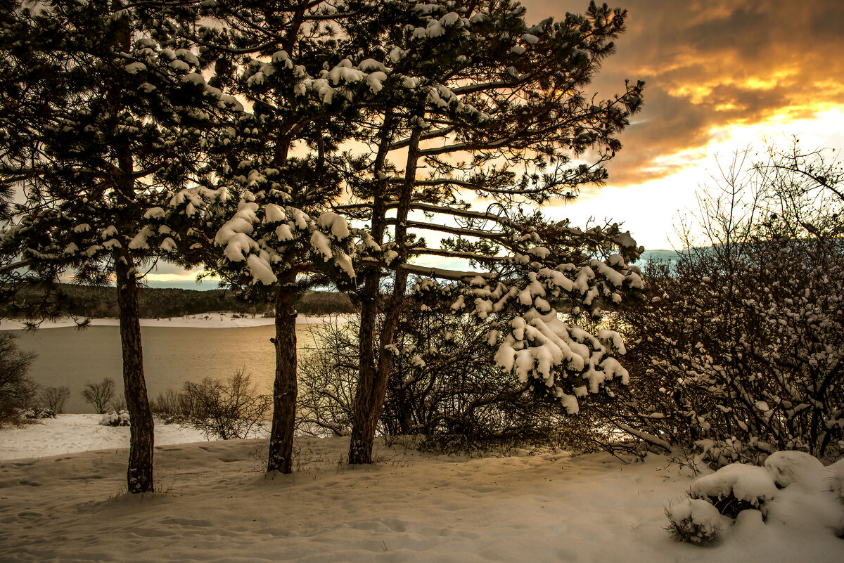 Рассвет. - Сергей Воротников