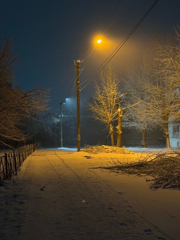 *** - Яна Горбунова