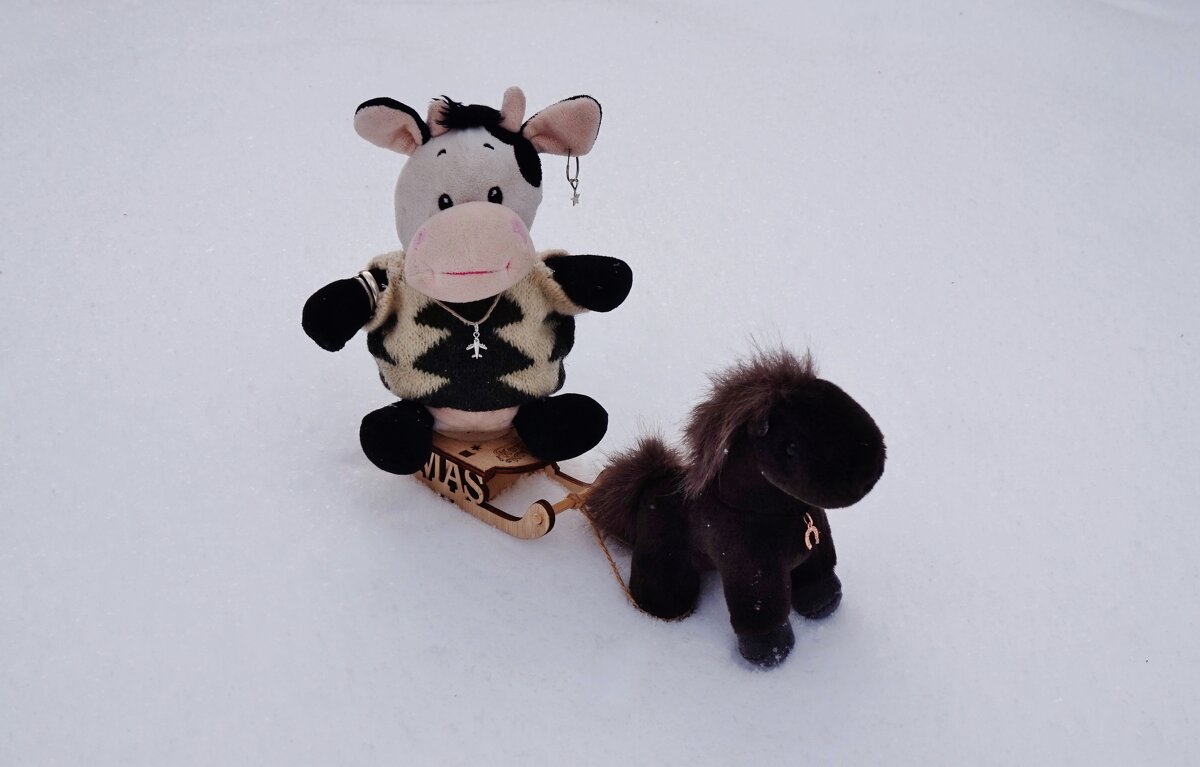 Зимние забавы - Nataly St. 