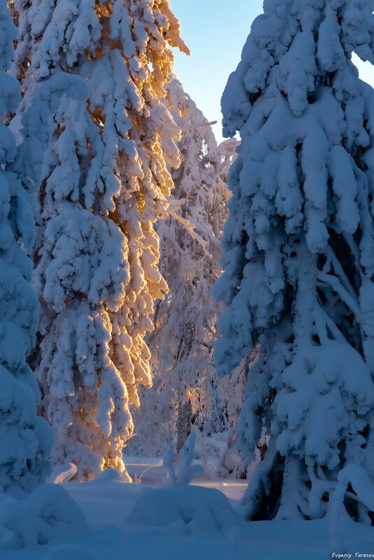 Утро на Южном Урале - Евгений Тарасов 