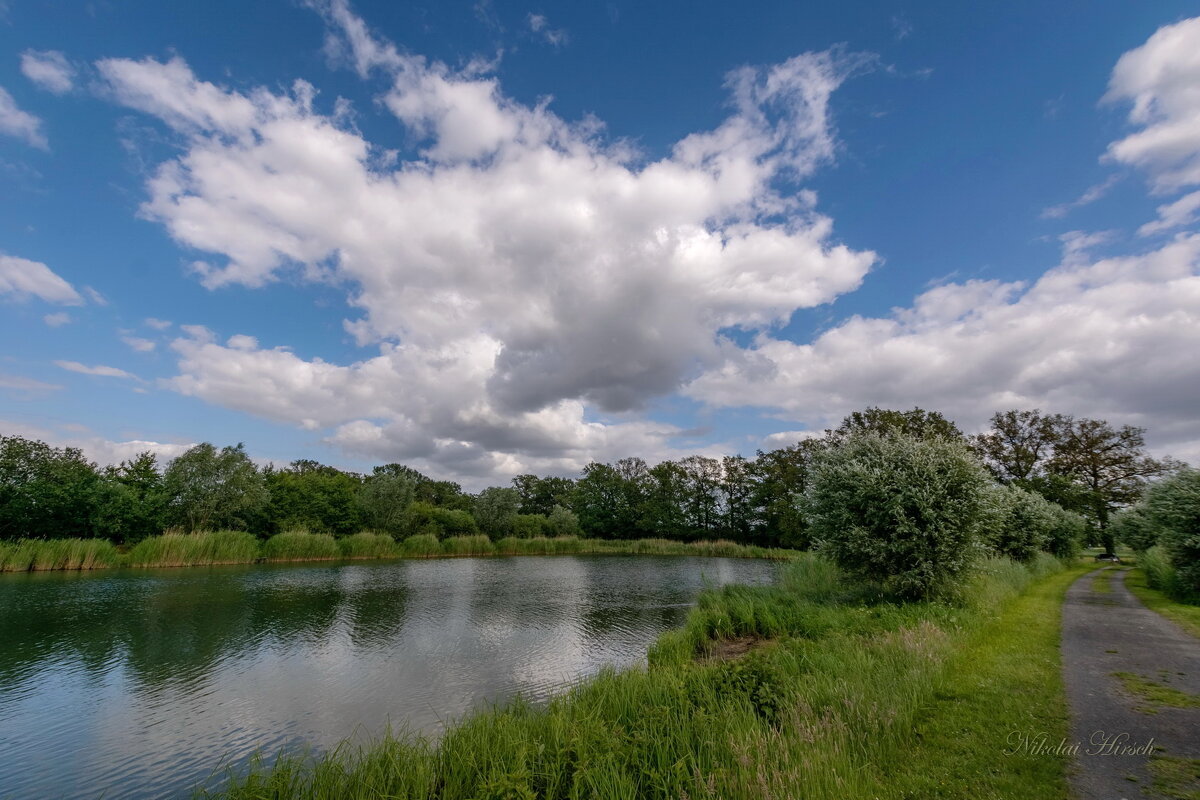 Весенний пруд... - Николай Гирш