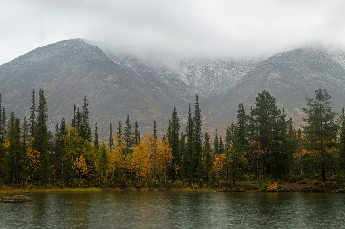 Дождливая осень........ - Юрий Цыплятников
