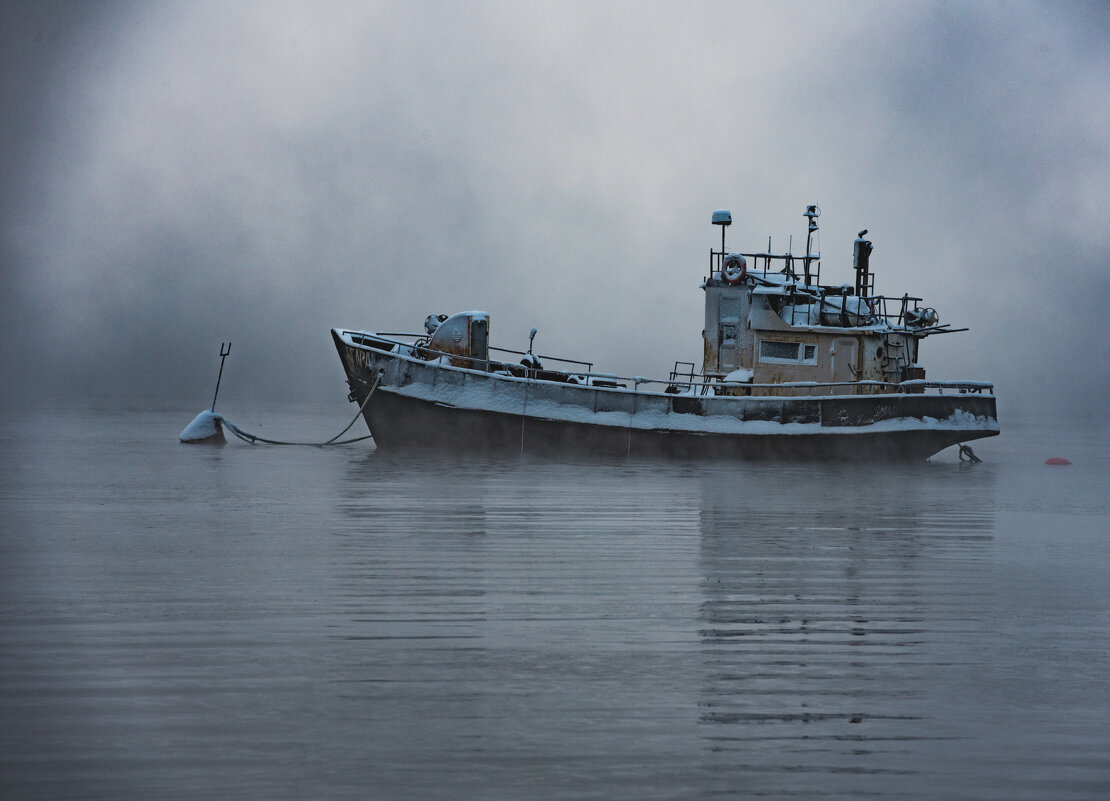 Туманный берег - Андрей C