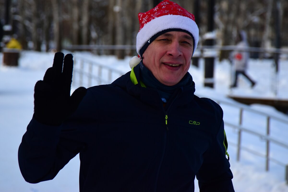 Красавцы бегут. - Наталья Вязигина