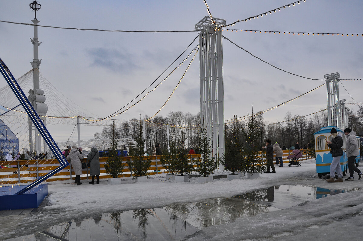 Январь с дождём - Татьяна Машошина