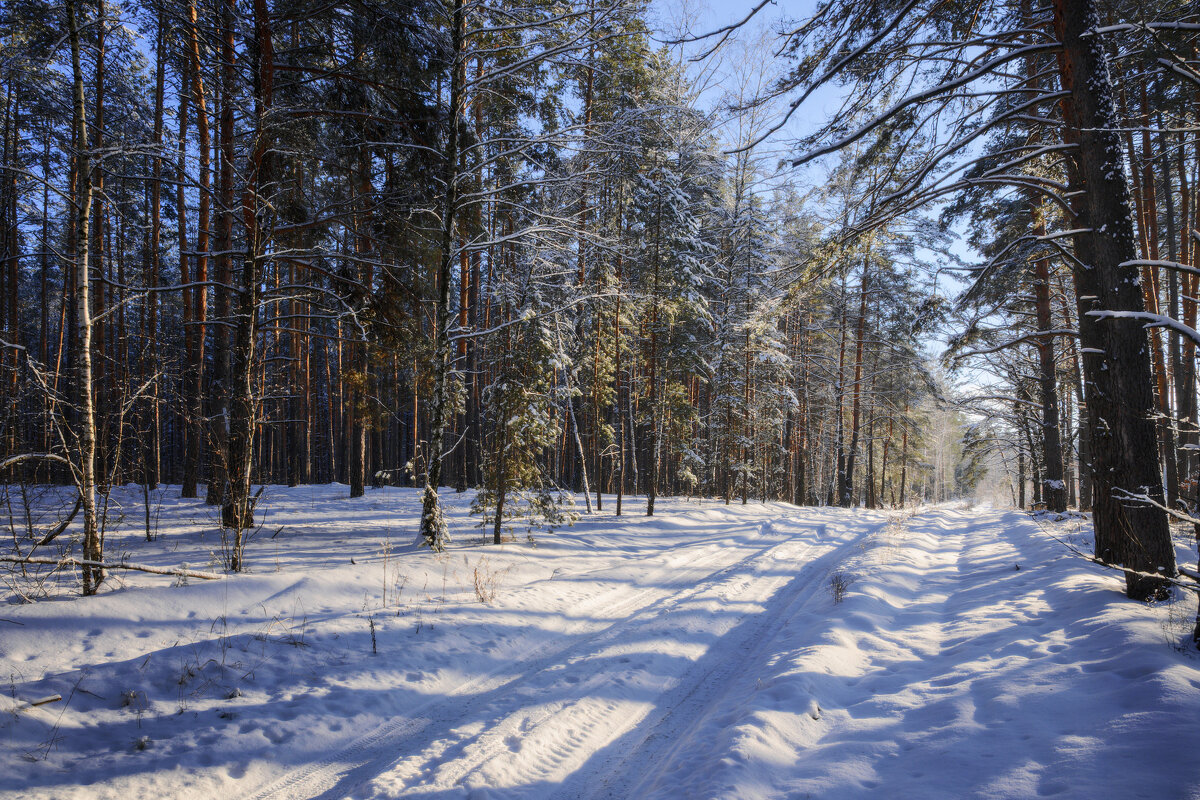 Эх, по дорожке, да по снежной! - Валерий VRN Эх, по дорожке, да по снежной! - Валерий VRN