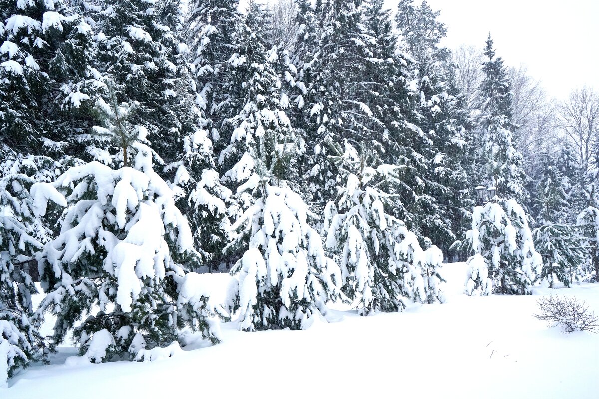 Зима за городом - Татьяна Тюменка