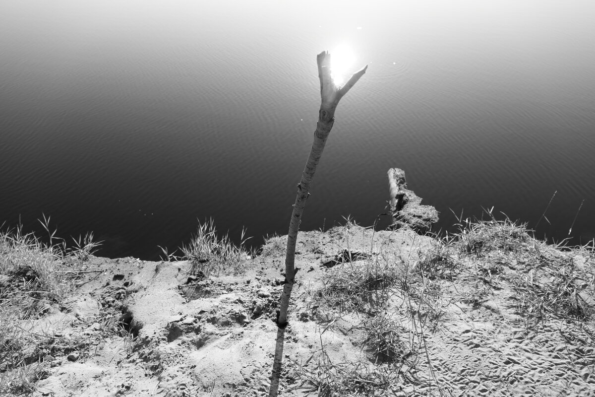 Фотография - Денис Безногов